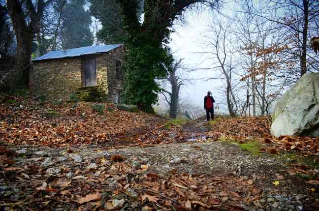 A November’s day hiking treasures…